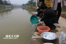 生態(tài)修復(fù)，漁業(yè)振興——浦北縣水產(chǎn)畜牧獸醫(yī)局成功舉辦漁業(yè)資源人工增殖放流活動(dòng)