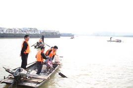 固鎮(zhèn)縣畜牧獸醫(yī)水產(chǎn)局積極實(shí)施漁業(yè)增殖放流 保障生態(tài)平衡與飼料銷(xiāo)售協(xié)同發(fā)展