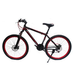 阿瑪尼自行車 奢華體驗與加盟前景全解讀