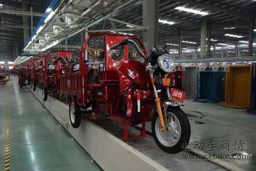 情定中原 2000人齊聚河南綠佳，共赴自行車之旅